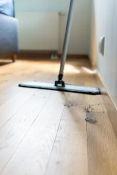 Flat mop approaching dust accumulation on a wooden floor in a bright home Photos