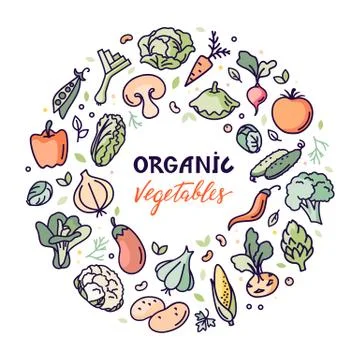 Flat organic vegetables vector illustration with a place for text or letterin Stock Illustration