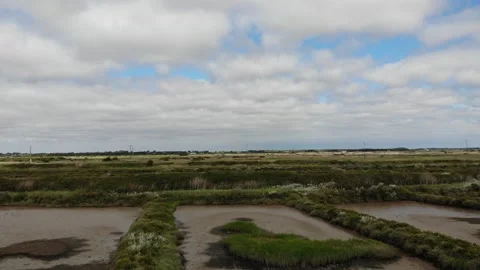 Flat Oyster Fields Drone France Stock Footage 331662250