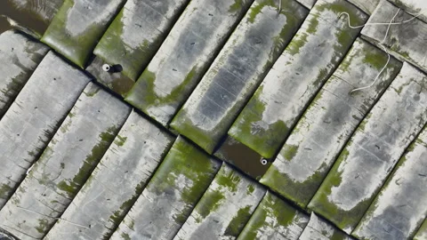 Flat panels made from asbestos cement with green moss Stock Footage 276240253