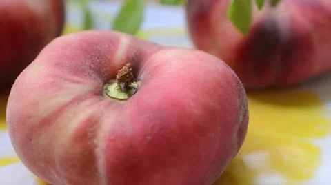 Flat peach (Prunus persica var. platycarpa) Stock Footage 15213114