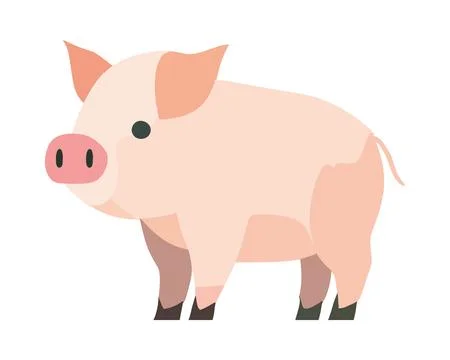 Flat pig illustration Stock Illustration