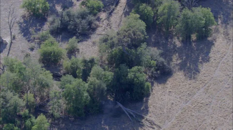 Flat Plains Stock Footage 39885937