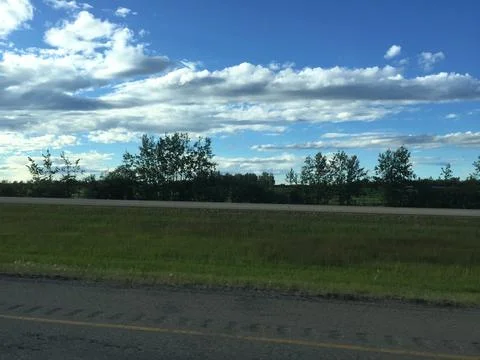 Flat plains with trees Stock Photos
