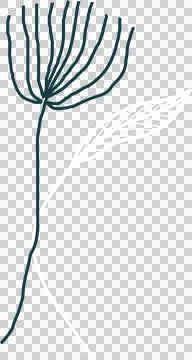 Flat plant stems are overlapping on transparent backdrop showing fan petals and 库存插图
