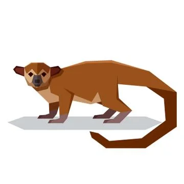 Flat polygonal Kinkajou Stock Illustration