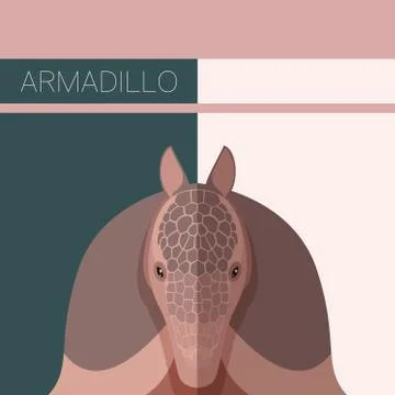 Flat postcard with Armadillo Stock Illustration