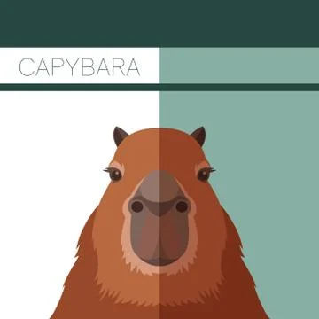 Flat postcard with Capybara Stock Illustration