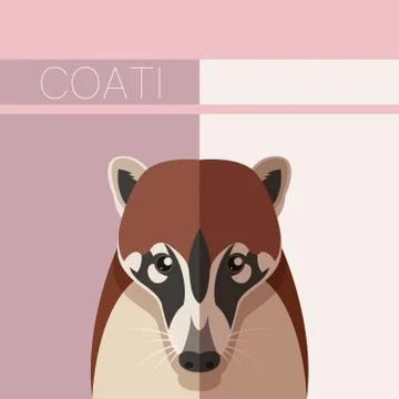 Flat postcard with Coati Stock Illustration
