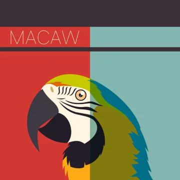 Flat postcard with Macaw Stock Illustration