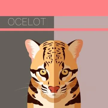 Flat postcard with Ocelot Illustrazione stock