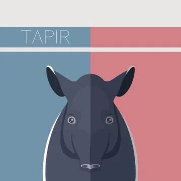 Flat postcard with Tapir Stock Illustration