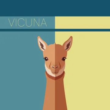 Flat postcard with Vicuna Stock Illustration