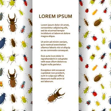 Flat poster or banner template with bugs Stock Illustration