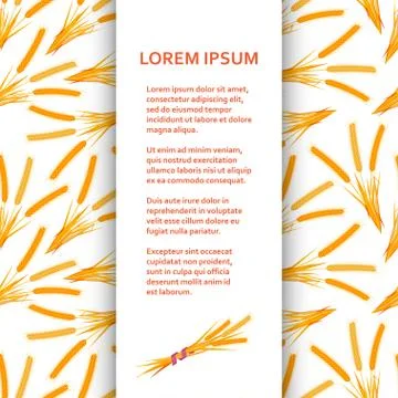 Flat poster or banner template with wheat 스톡 일러스트