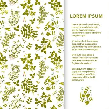 Flat poster or banner template with legume plants Stock Illustration