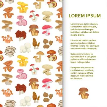 Flat poster or banner template with mushrooms Stock Illustration