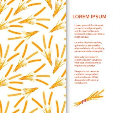 Flat poster or banner template with wheat Stock Illustration