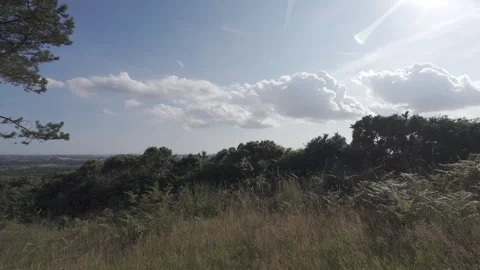 Flat profile view of sun shining over rural hillside bushes Stock Footage 340444061