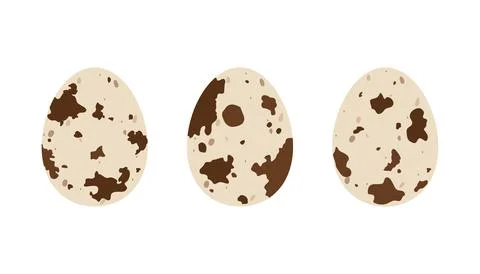 Flat quail eggs. Cartoon vector illustration Stock Illustration