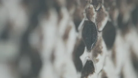 Flat reptile skin printed surface 4K macro video Stock Footage 169540655