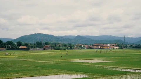 Flat rice fields with houses in the back 動画素材 86842212