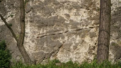 Flat Rock Wall with Two Trees in Front Stock Photos