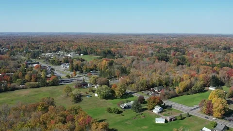 Flat rural area with many trees, during the autumn season. Stock Footage 291324184
