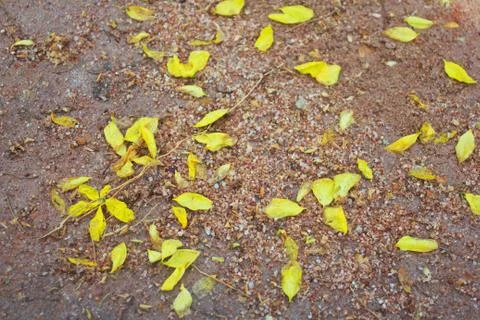 Flat sand surface textured background Stock Photos