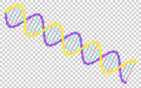 Flat science dna molecule background, transparent PNG design element Stock Illustration