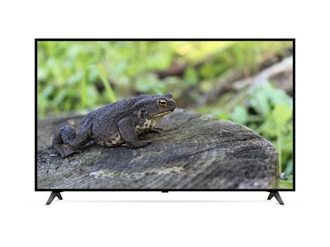 Flat screen smart tv with frog on screen Stock Photos