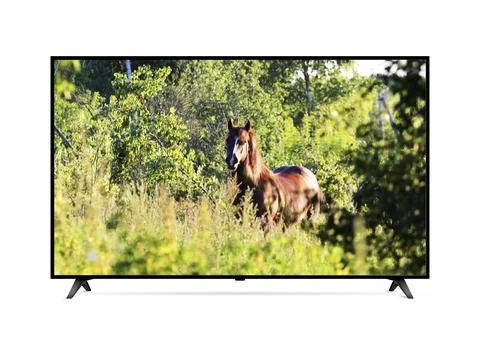 Flat screen tv with galloping wild horse in the forest Stock Photos