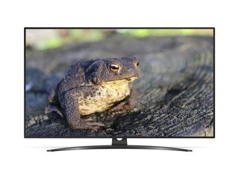 Flat screen TV with toad on screen Stock Photos