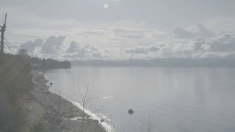 Flat sea laps against shore with trees and dramatic clouds Stock Footage 127041785