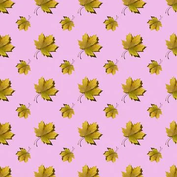 Flat seamless pattern of maple leaves on a pink background Stock Illustration