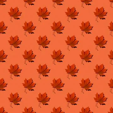 Flat seamless pattern of maple leaves on a yellow background Stock Photos