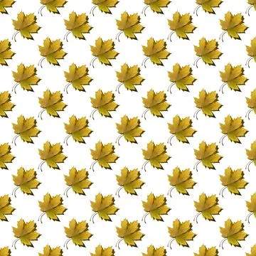Flat seamless pattern of maple leaves on a white background Stock Photos