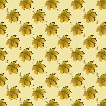 Flat seamless pattern of maple leaves on a yellow background Stock Photos