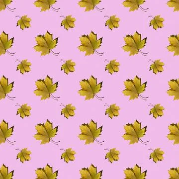 Flat seamless pattern of maple leaves on a pink background Stock Photos