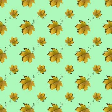 Flat seamless pattern of maple leaves on a green background Stock Photos