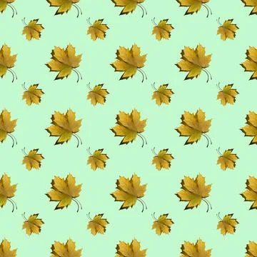 Flat seamless pattern of maple leaves on a green background Stock Photos