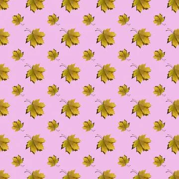 Flat seamless pattern of maple leaves on a pink background Stock Photos