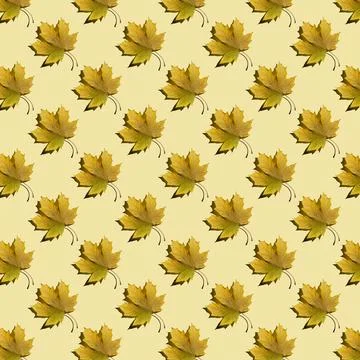 Flat seamless pattern of maple leaves on a yellow background Stock Photos