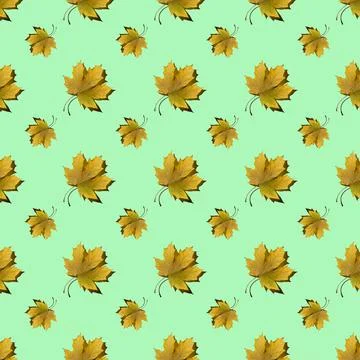 Flat seamless pattern of maple leaves on a green background Stock Photos