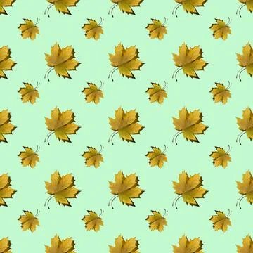 Flat seamless pattern of maple leaves on a green background Stock Photos