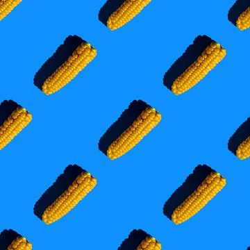 Flat seamless pattern of peeled corn on a blue background Stock Photos