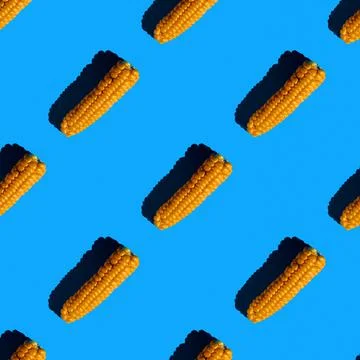 Flat seamless pattern of peeled corn on a blue background Stock Photos