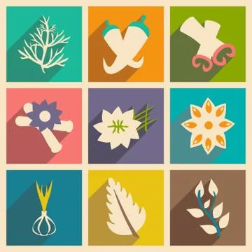 Flat with shadow concept and mobile application spices Stock Illustration