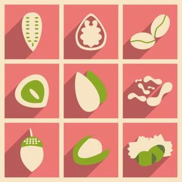 Flat with shadow concept and mobile application nuts icons Stock Illustration
