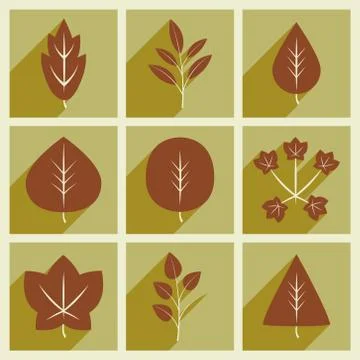 Flat with shadow concept and mobile application leaves Stock Illustration